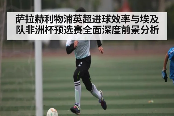 萨拉赫利物浦英超进球效率与埃及队非洲杯预选赛全面深度前景分析