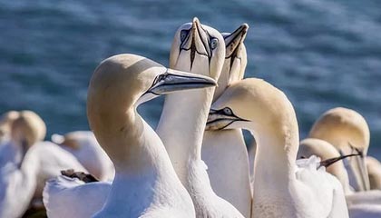 开云官网-“苏超”继续向“街头小店”敞开赞助大门