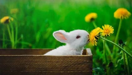 kaiyun-两个尊重不可少（快评）